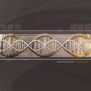 Protoculture - Driven