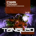 Etamin - Covenant (Smith & Brown Radio Edit)