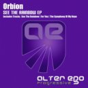 Orbion - See A Rainbow (Original Mix)