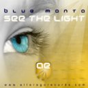 Blue Manta - See The Light (Santerna Remix)