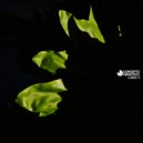 Crown (ARG) - Edge Of Limit (Original Mix)