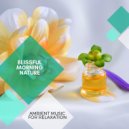 Yogsutra Relaxation Co - Ambient Drops