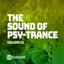 Danny Darko ft Julien Kelland - Paint It Black