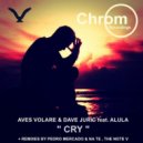 Aves Volare & Dave Juric feat. Alula - Cry