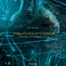 Psychomotorica & Pointfield - The Signal
