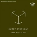 Gianni Ruocco & W.Hay - Sweet Symphony (Line Box Mix)