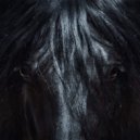 Johan Horses - Pur Sang