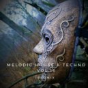 ecoMix - Melodic House & Techno Vol.16 ()