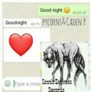 pycorns & Caden P - I Love You