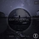 Dark Side Control - Through the Darkness (Original Mix)