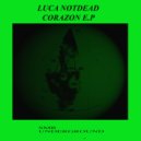 Luca Notdead - Valvula Bicuspide (Original mix)