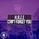 H.A.Z.E - Can\'t Forget You (Original Mix)