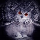 Shiva Love U - Internal Podcast #8
