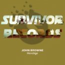 John Browne - Council Pop