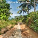 Mellow Acoustic Jazz - Background for Dreaming of Travels