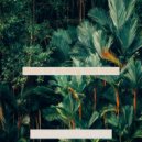 Soothing Jazz Bar Cafe - Brazilian Easy Listening - Vibes for Relaxing at Home ()