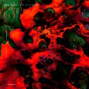 ENVI, WAGNA - Acid Activated