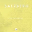 Salzberg - Another Year Is Over (Original Mix)