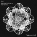 747 - Aurora Centralis