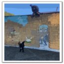 Bob Foxx - Transform & Recreate (Original Mix)