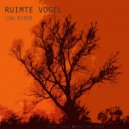 Ruimte Vogel - Mushroom Echo (Original Mix)