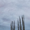 Michael Wall - An Agreement (Original Mix)