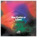 Liamo - You Gotta (Original Mix)