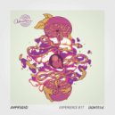 AMPRS&ND - Experience B17 (IceCreams Remix)
