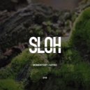 Momentdat - Spugedelic (Original Mix)