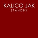 Kalico Jak - Standby (Ruby Skye\'s Airport Dub)