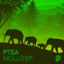 Ptea - Mollo
