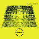 Binaural - Central Line (Original Mix)