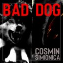 Cosmin Simionica - Bad Dog (Original Mix)