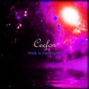Ceefon - Summa