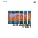 Hollen, David Granha - Try To Do It Intro