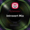 Dj Sensonic - Introvert Mix ()