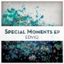 Edviq - Special Moments (Original Mix)