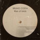 Bruno Costa - Rise of Birds