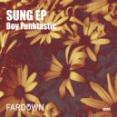 Boy Funktastic - Pattern