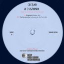 Ceebar & DysFoniK - Fingered (Original Mix)