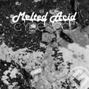Cybercat - Melted Acid (Original Mix)