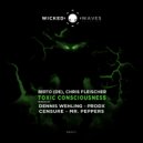 Chris Fleischer - Strange Mind