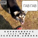 Коронавирус - ГАВ