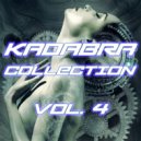 Lady Brian Vs Fat-Tao - Kill Every Positive Vibe (B - Side Mix)