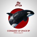 PIPO SALTY - Space Travel (Original Mix)