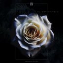 Tracy - The White Devil With Blue Eyes (Original Mix)