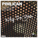 Pimlican - Why Do You