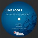 Luna Loops - Missing Groove (Original Mix)