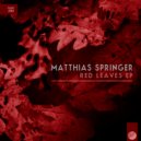Matthias Springer - Exhausted Soul