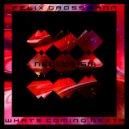 Felix Grossmann - What\'s Coming Next? (Original Mix)